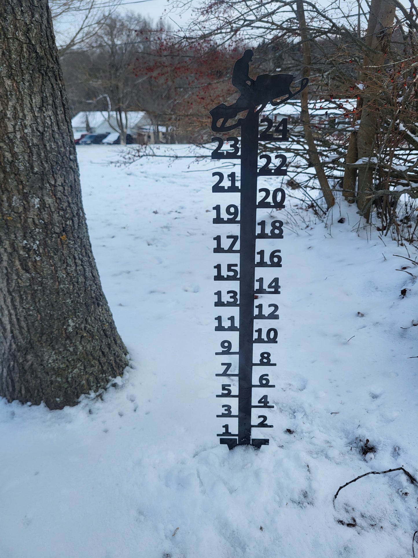 Snowmobile snow gauge